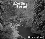 Northern Forest : Winter North